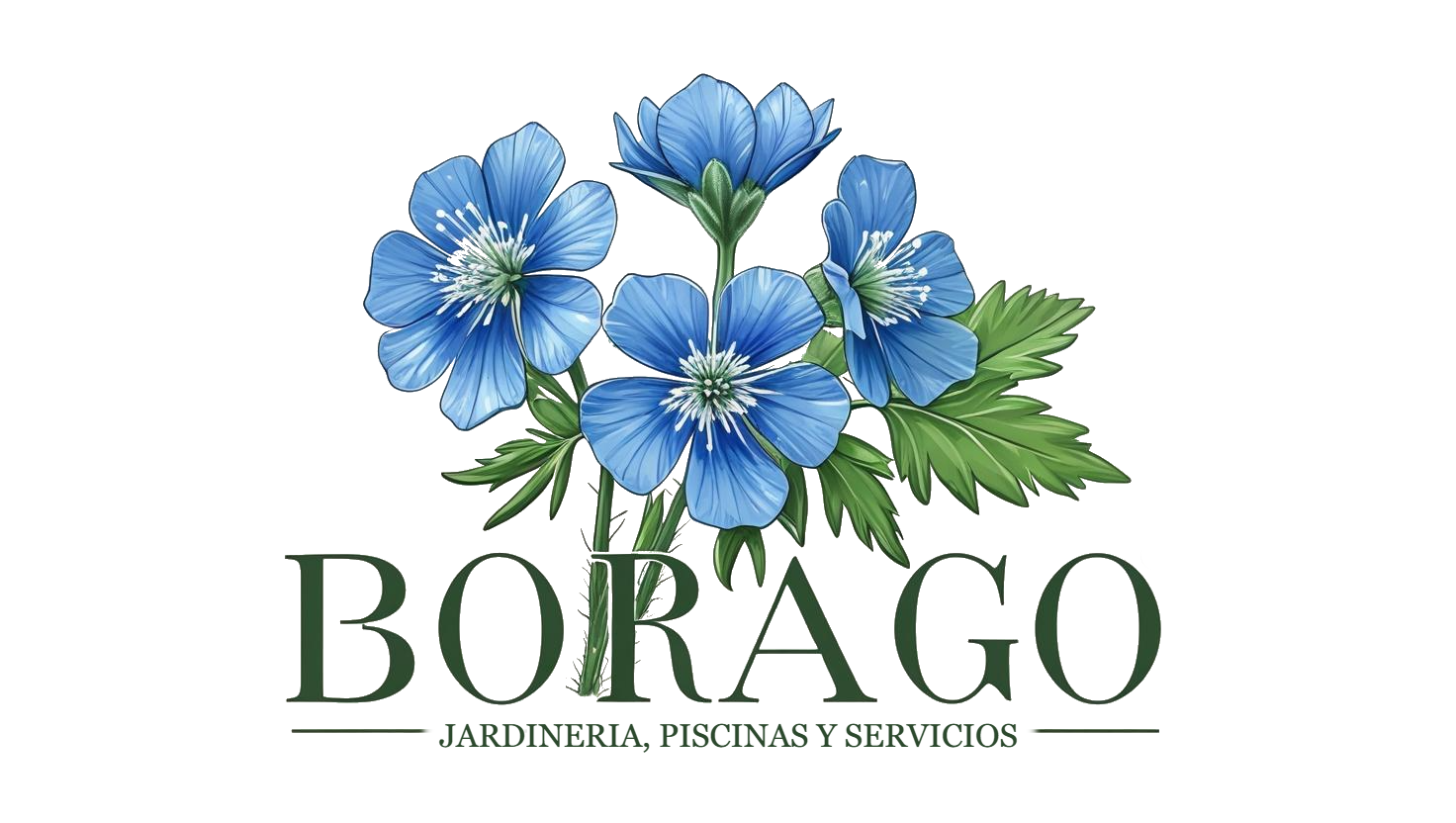 Borago Jardineria- miguel márquez comas